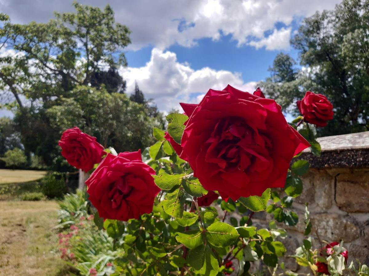 Chateau De Mongazon Saint-Franchy 외부 사진